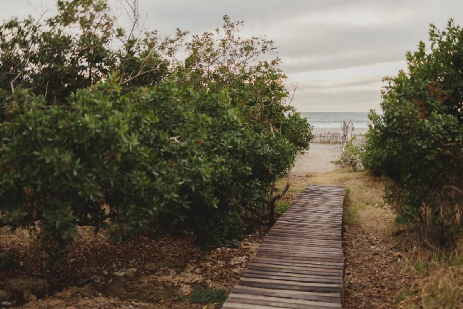 Tres Velas Surf Celestino Gazca Villasenor エクステリア 写真