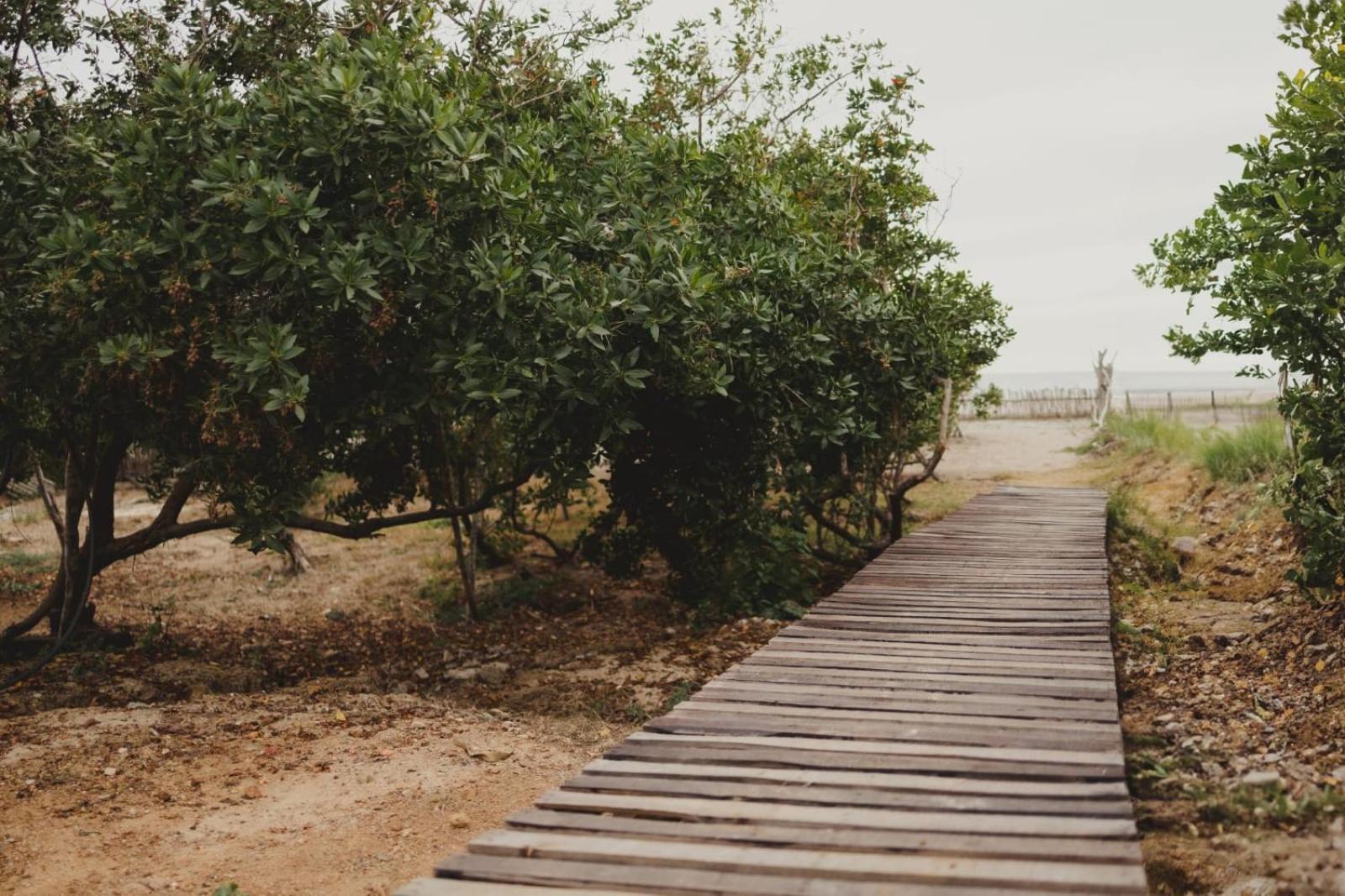 Tres Velas Surf Celestino Gazca Villasenor エクステリア 写真